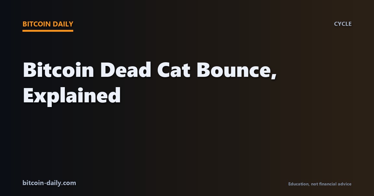 Bitcoin price chart illustrating a dead cat bounce pattern during a bear market, showing a sharp rally that fails and resumes the downtrend